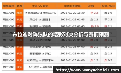 布拉迪对阵狼队的精彩对决分析与赛前预测